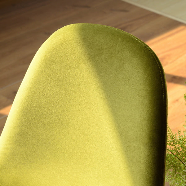 CHARLTON VELVET LIME GREEN POWDER