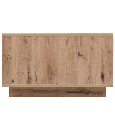 Table Basse Bicolore Noir et Marron avec Rangement Intégré et Éclairage LED RVB RAELDRULS