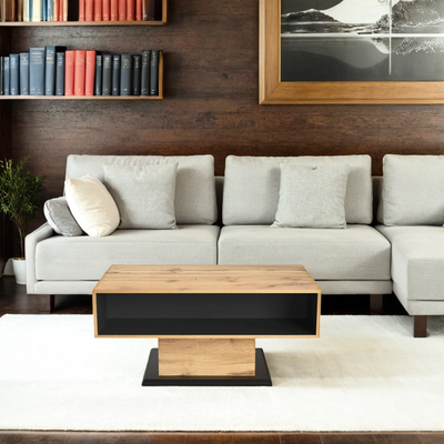 Table Basse Moderne avec Rangement - Effet Chêne Naturel et Anthracite EINPHATH
