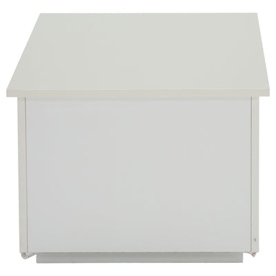 Table Basse Relevable Hydraulique Blanche Laquée avec LED RGB, Rangement Caché et Ports USB (100x50x35-60cm)  WHITE