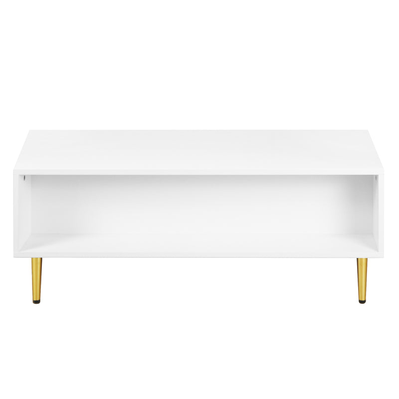 Table Basse Moderne Blanche avec Rangement - Pieds et Poignées Dorés STRUX COFFEE TABLE WHITE