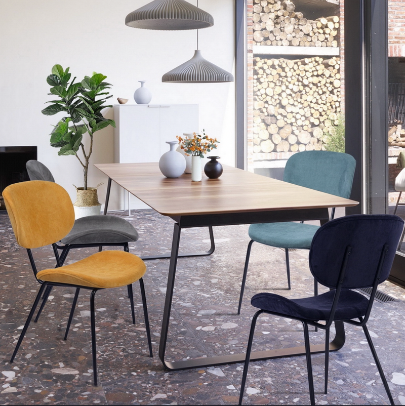 CLEON - Modern Dining Chairs - Set of 2