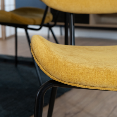 CLEON - Modern Dining Chairs - Set of 2