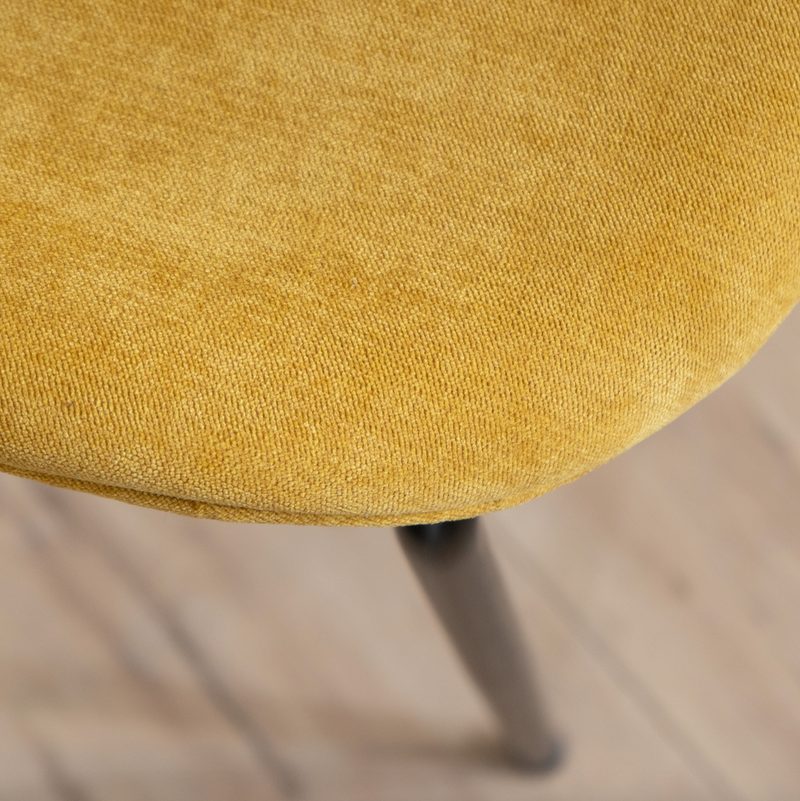 CLEON - Modern Dining Chairs - Set of 2
