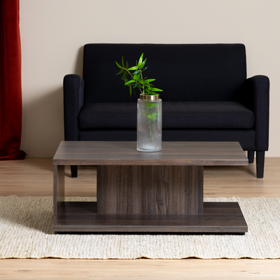 RAYBURN - Vintage coffee table
